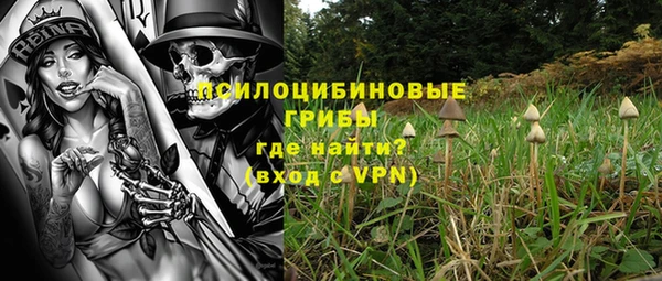 стафф Зерноград