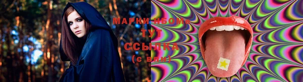 стафф Зерноград