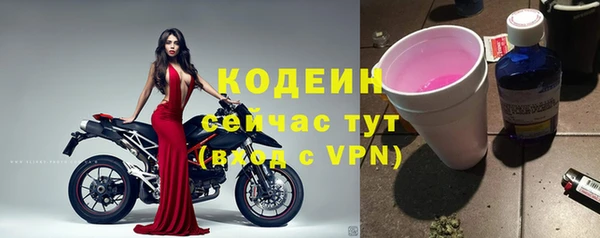 хмурый Иннополис