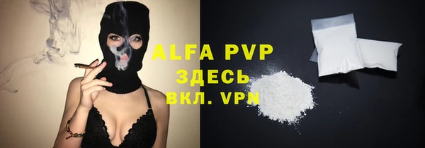 стафф Зерноград