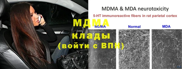 стафф Зерноград