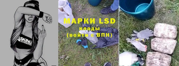стафф Зерноград