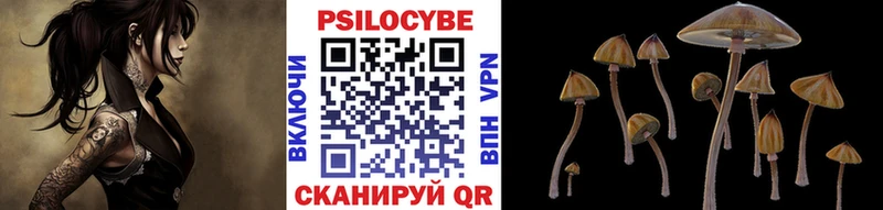 Купить где  Егорьевск  Псилоцибиновые грибы мухоморы 